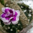 나사렛유치원 이미지