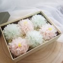 다다플라워 이미지