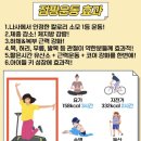 라스트점핑 - 김포시 김포한강8로162번길 7 | 라스트점핑