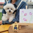 꽃피는견생 인천애견유치원 이미지