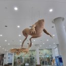 바울축산 | 202205 오랜 시간 동안 아름다운 관계