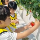 이천남초병설 이미지