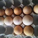 현내농장 이미지