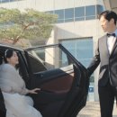 더그레이스 이미지