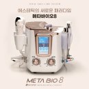 보드레 에스테틱