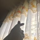 🌻 내 행복 인 에릭 🌻 “1 day left, goodnytieee” 이미지