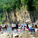 제10회 안덕 다슬기줍기 체험 | 청송 안덕 다슬기 축제 개최(2019.08.03)