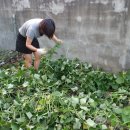 봉하어린이집 이미지