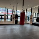 팀 드래곤 복싱 장곡점 이미지