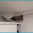 문산호수아파트 이미지