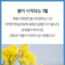 노인전문제1병원 | 부산노인전문제1병원 3월 사회사업 프로그램 일정표