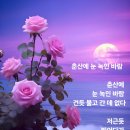 춘산 - 중구 | 춘산
