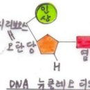 화아.수정 활성, 수량을 많이 열리게 하는 방법 이미지