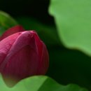 천생연분마을 이미지