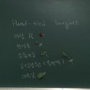 플라워 디자인_핸드타이드 이미지