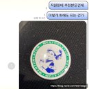 삼미스타약국 | [대만 #6]나 타이베이랑 안 맞나?