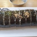 꿈을담은김밥 이미지