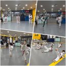 신주례태권도2 이미지