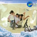 아이와 세부 여행 6탄, "펭귄한테 물렸어요 ㅠㅠㅋㅋ" 세부 오션파크 반전 야외 투어 & 7D 망고 팩토리...