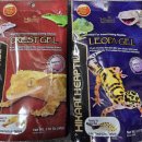 고래의꿈 수족관 이미지