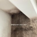 화서역 위너스파크(아) | 수원 화서역위너스파크 탄성코트 시공으로 곰팡이 제거해요