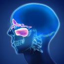 숨한의원 이미지