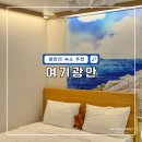 여기, 광안 | 부산 광안리 2인 숙소 추천 애견동반 가능 여기광안