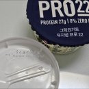 프로그릭 - 송파구 마천로61바길 24 | 그릭데이 그릭요거트 무지방 프로22 먹어본 후기