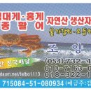 조양수산