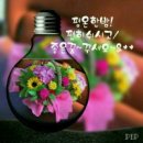 꿈꾸는 별 이미지