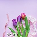 행운행정사 이미지