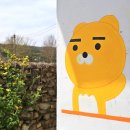 라촌 이미지