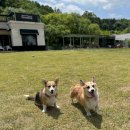 그라운독 이미지