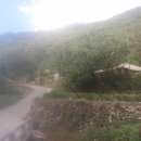 부산마을부동산중개 이미지