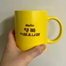 블럭파티플러스경주충효점 | 경주 당일치기 여행 코스 추천 : 경주단골식당, 미피샵, 포토랩, 테라로사, 맥심가옥, 경주천년숲정원...