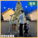 (주)대산클렌징 | 경남 합천 글램핑 대구근교 황매산 무한바베큐 합천H글램핑 후기