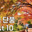 놓치면 안되는 가장 아름다운 단풍명소 베스트 10 | 단풍 언제 어디가 좋은지 알려드립니다. 이미지