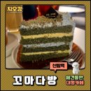 꼬마애견 | 신림동 애견동반 대형카페 꼬마다방 다녀온 솔직 후기