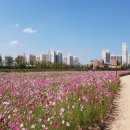 용종마을중앙아파트 앞 이미지