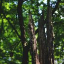 자윤한의원 이미지