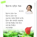 풀잎에도 상처가 있다 - 정호승 이미지