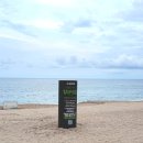 머슬핫바디 | 강릉 강문해변 머슬비치 현실샷 위치와 주차