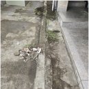 탄중로471번길 네이버블로그