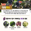 과일나라테마공원1 이미지