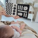 바바나무 | 바바북스 베이비아트북 신생아 흑백초점책 후기(시기, 활용법)