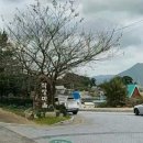 노포사송로 이미지