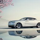 피스테일 이미지