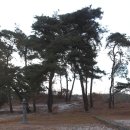 정기안 선생 묘 이미지