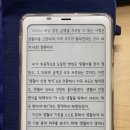 팔마로 이미지