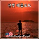 코타키나발루 자유여행 탄중아루 선셋 패들보드 투어 후기 준비물
